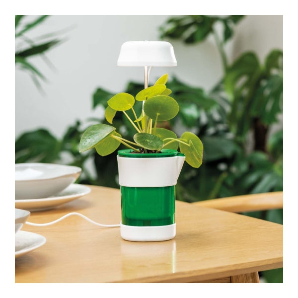 Vaso Inteligente com Luz LED